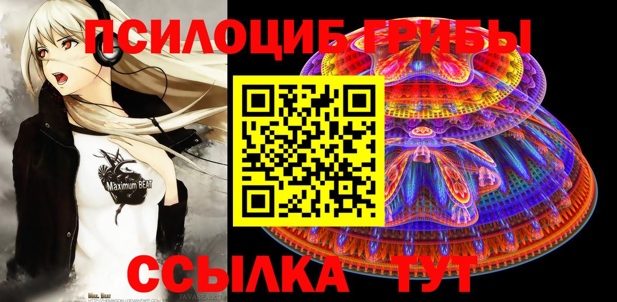где купить наркоту  Вход с VPN  Сердобск  Псилоцибиновые грибы Psilocybe 